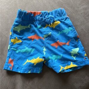 Falls Creek Blue Shark Print Kids Shorts 3T